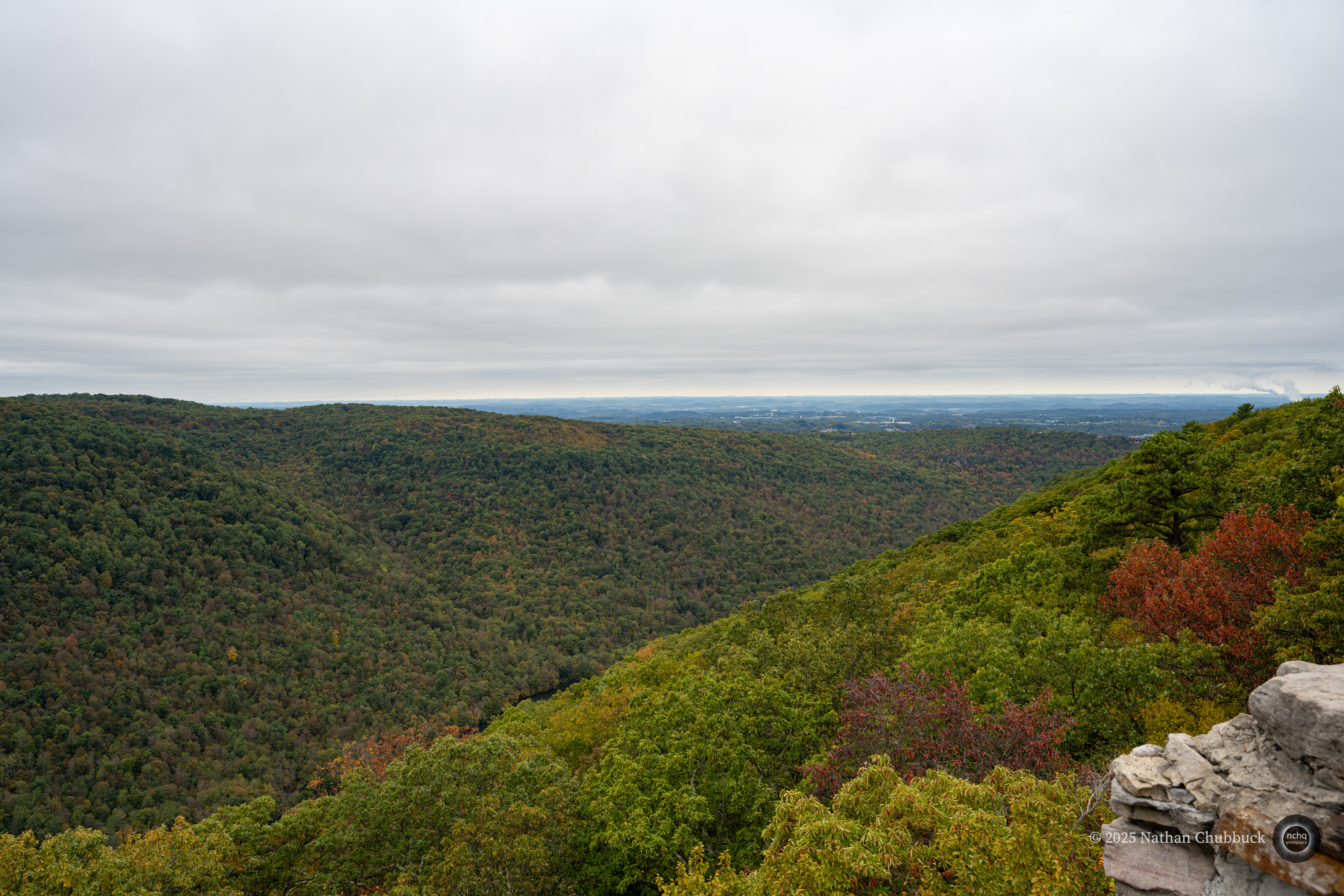 DSC_4142-Enhanced-NR